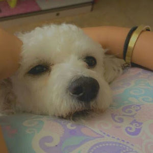 Meet your Posher, *allison